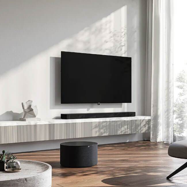 Loewe bild i.48 dr+ - Qoratech