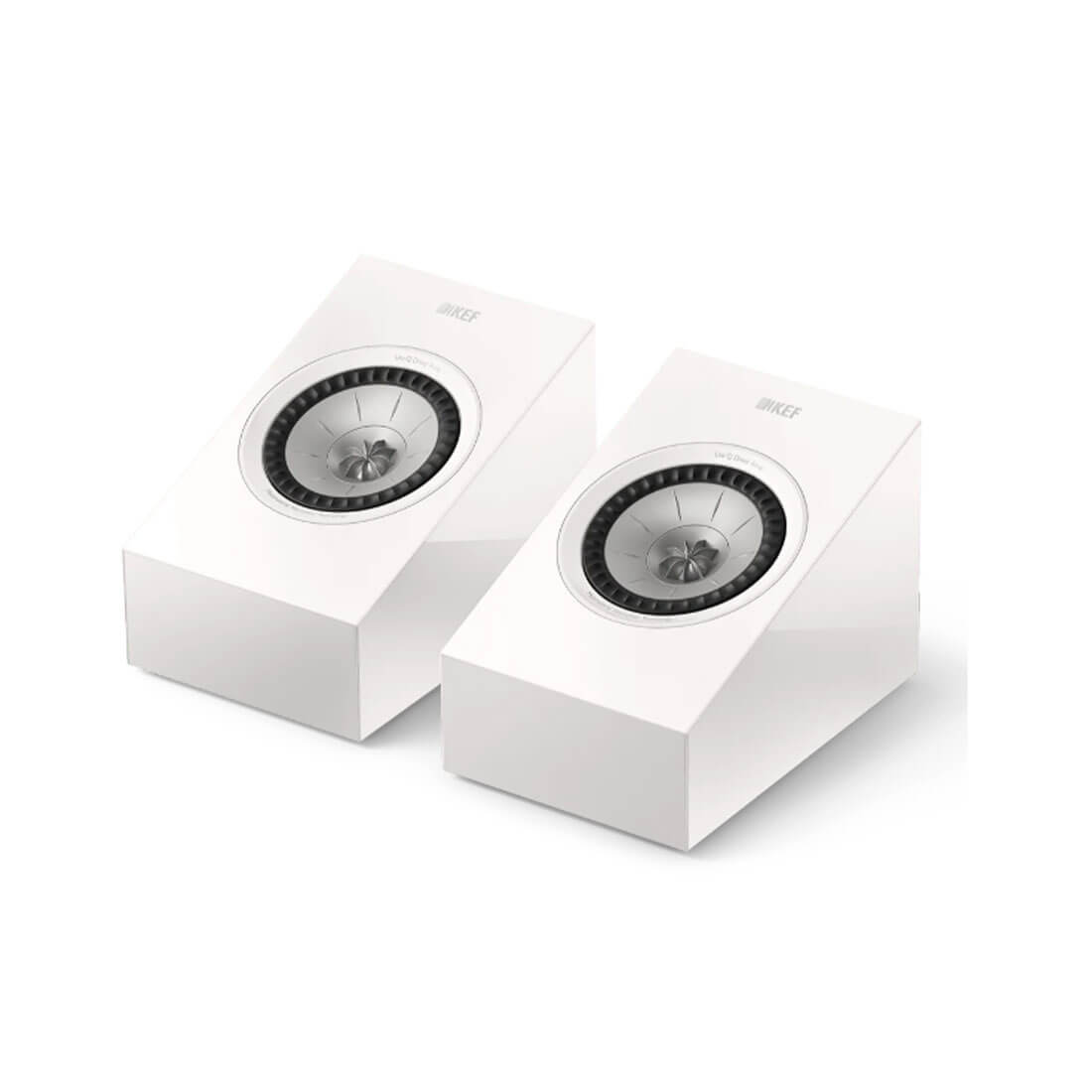 R8 Meta HiFi Speakers