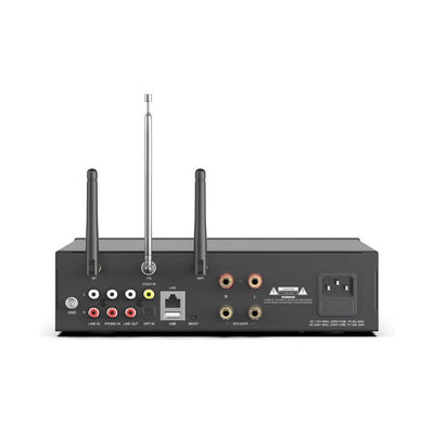 Arylic A100 100W x 2 Power amplifier with FM - Qoratech