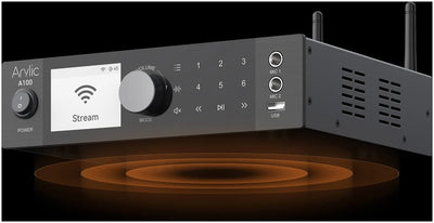 Arylic A100 100W x 2 Power amplifier with FM - Qoratech