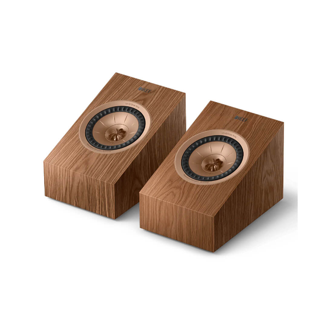 R8 Meta HiFi Speakers